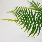 観葉植物 造花 ファーン BROWN 全高約74cm 卓上・小型 フェイクグリーン 本物そっくり おしゃれ インテリア 人工観葉植物 アーティフィシャルグリーン オフィス 店舗 ホテル 開店祝い 室内 ミニ シダ 観葉 フェイク