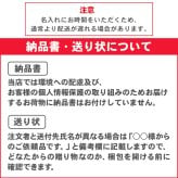 【ギフトセット】ぺんてる スマッシュ 名入れ シャーペン 0.3mm 0.5mm 限定色 Q1003 Q1005 シャープペン SMASH のし プレゼント ギフト 限定 誕生日 入学 卒業 しーさースマッシュ しーさー シャープペンシル 送料無料