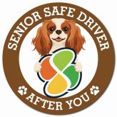カーサイン 高齢者マーク SENIOR SAFE DRIVER キャバリアキングチャールズスパニエル マグネット 強力 直径13cm 肉球 日本製 車 ステッカー