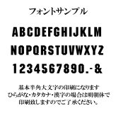 ストライダー スポーツ ST-S4 STRIDER 12 Sport 正規品 並行輸入USA USモデル プレゼント 通販 2026
