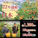 みかん 5kg 贈答用 秀品 特選 送料無料 和歌山 M L 伊藤農園 大玉 中玉 手詰め 有田みかん 温州みかん 約30個～40個 果物 出産内祝い 贈答 ギフト 誕生日 結婚祝い 出産祝い 内祝い ギフト