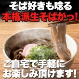 本格派 生そば 8食セット 蕎麦 生 麺 日本そば 麺類 生麺 つゆ付き ポスト投函便
