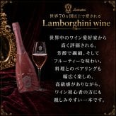 Lamborghini ROSE ギフトボックス グラスセット