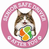 カーサイン 高齢者マーク SENIOR SAFE DRIVER ノルウェージャンフォレストキャット マグネット 強力 直径13cm 肉球 日本製 車 ステッカー