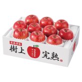 お歳暮・冬ギフト 青森県産 樹上完熟サンふじりんご (H-A4S) ※送料無料(北海道・沖縄・離島への配送不可)