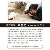 沖昌之×Wpc. 肉球アンブレにゃん ミニ 折りたたみ傘 ビニール傘 PT-OM-005-002 定形外 送料無料 ねこ アンブレにゃん 折りたたみ 透明 雨傘