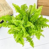 PLANCHU 観葉植物 ネフロレピス ツデー 3.5号鉢 受け皿付き 育て方説明書付き Nephrolepis exaltata ‘Teddy Junior’ ボストンファーン ボストンファン シダ植物