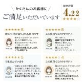 電動リクライニングベッド シングル ワルツ WALTZ 折りたたみ 低反発マットレス キャスター付き 高床タイプ 立ち上がりラクラク 収納式 通気性 メッシュ生地 ネイビー