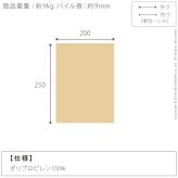 ラグ カーペット ラグマット ベルギー製モダンデザイン ウィルトン織ラグ 〔リトモ〕 250x200cm 絨毯 高級 ベルギー ウィルトン 長方形 200 250 床暖房 ホットカーペット対応 リビング 北欧 モダン