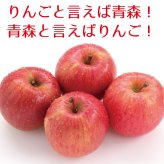青森県産 りんご　訳あり 紅玉　10ｋｇ　送料無料！