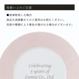 BERNARDAUD ベルナルド エキュム ローズ デザートプレート 21 cm 単品 名入れ彫刻代込み 名前 彫刻 刻印 お祝い プレゼント ギフト 記念日 高級 ブランド 開店祝い 新築祝い 誕生日 法人 お皿 プレート インテリア ピンク ウェルカムボード