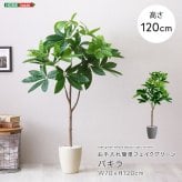 お手入れ簡単 フェイクグリーン パキラ Sサイズ(120cm)
