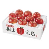 お歳暮・冬ギフト 青森県産 樹上完熟サンふじりんご (H-A4S) ※送料無料(北海道・沖縄・離島への配送不可)