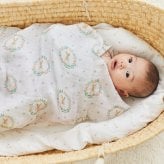 おくるみ スワドル 2枚セット 出産祝い aden+anais エイデンアンドアネイ ブラッシングバニーズ コットンモスリン ダブルガーゼ 大判 約112cm 新生児 退院 内祝い 出産内祝い 女の子 ギフト 専用ボックス入り ガーゼケット ブランケット 授乳ケープ おむつ替えシート 双子