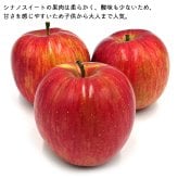 長野県産りんご3兄弟セット シナノスイート 秋映 シナノゴールド ご贈答 果物 フルーツ お取り寄せ 産地直送 【送料無料(一部地域除く)】