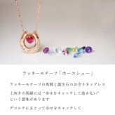 馬蹄 誕生石 ネックレス K18 18金 18K K10 10金 10K プラチナ ホースシュー 女性 レディース 誕生日 記念日 プレゼント ギフト 誕生日プレゼント お守り 20代 30代 40代 妻 彼女 天然石 ダイヤモンド ダイヤ ルビー 小さい 小さめ ピンクゴールド ゴールド 選べる 金属アレルギー対応 金属アレルギー