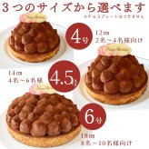 敬老の日 ハロウィン 御歳暮 お歳暮 早割 送料無料 5層のリッチチョコタルト 18㎝ 8〜10名様用 パーティー 大人 子供 記念日 お祝い 内祝 出産祝 お礼 お返し 人気 お取り寄せ お菓子 ケーキ 送料無料 翌日お届け お取り寄せスイーツ TVで紹介 熨斗対応 パーソナルラッピング対応 詰め合わせ 高級 おしゃれ 可愛い 冷凍発送