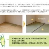 夏ラグ 夏用カーペット 純国産 い草 上敷き カーペット 糸引織 『柿田川』 江戸間2畳(約176×176cm） 新生活