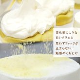＼早割！／ クリスマスケーキ クリスマスプレゼント 予約 2026 チーズケーキ バスクチーズケーキ フロマージュ  さつまいも クリームチーズ スイートポテト みたらし 大学芋 4号 2～3人 スイーツ お菓子 洋菓子 可愛い かわいい おしゃれ oimoya