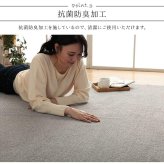 ラグ カーペット 長方形 手洗い ループパイル 高級感 おしゃれ 抗菌防臭 オーバーロック 滑りにくい加工 約3畳 約190×240cm 床暖房 ホット 対応