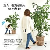 ラウンド プランターベース ONPT0106 W300×D300×H37mm キャスター付きプランター台 プランターバスケット プランターボックス プランタートレー 植木鉢 鉢 プランター置き 室内 リビング 事務所 オフィス 水やり キャスター付きトレー