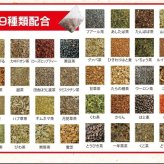 お茶の清香園 『薬湯山人茶』ティーバッグ 320g （10g×32袋入）