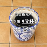 ポルトガル製 底穴なし 鉢カバー 花柄 アズレージョ 手描き プランター 陶器 17cm ガーデニング 白地 紺 青 ブルー ホワイト pfa-594np-w