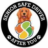 カーサイン 高齢者マーク SENIOR SAFE DRIVER アイリッシュセター マグネット 強力 直径13cm 肉球 日本製 車 ステッカー