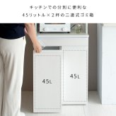 食器棚 ゴミ箱収納付き 分別ドロワーダストボックスラック NotT（ノット）ダストボックス キッチンペール ごみ箱 ゴミ箱 おしゃれ キッチン カウンター 省スペース ゴミ箱付きラック キッチンラック キッチン収納 ブラウン ナチュラル ホワイト：