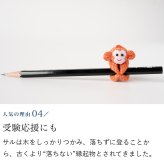 カラフルおさるキーホルダー さる 猿 サル 申 くくり猿 キーホルダー ストラップ お守り チャーム 根付け 開運 幸運 金運 開運グッズ 合格祈願 グッズ ラッキーカラー 干支 プチギフト 母 娘 プレゼント 誕生日プレゼント コットン 母の日 敬老の日 風水 雑貨 縁起物