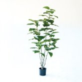 観葉植物 造花 フィカス エラスティカ BROWN 全高約195cm 大型 株立ち フェイクグリーン 高級 本物そっくり リアル おしゃれ インテリア 人工観葉植物 アーティフィシャルグリーン オフィス 店舗 ホテル 開店祝い 室内 リビング 玄関 風水 ゴムの木 インドゴムノキ