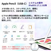 Apple Pencil 純正アップルペンシル applepencil (usb-C) iPad ペン 国内正規品 本体 MUWA3ZA/A  JAN:4549995454017 OS システム条件:17.1.1以降以降  タッチペン #57319