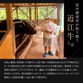御中元 肉 ギフト【近江牛 カタログギフト 2万円コース】お肉 ギフト カタログ しゃぶ しゃぶしゃぶ すき焼き ステーキ肉 国産 高級 和牛 焼肉 ギフトボックス 牛肉 食べ物 グルメ 誕生日 プレゼント 飛騨牛ステーキ 黒毛和牛 ギフト券