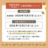 フラワーギフト カラフルガーデンフラワーアレンジメント Mサイズ 生花 花市場から直送 父の日  お祝い 誕生日 記念日