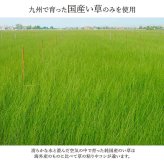 夏ラグ 夏用カーペット ラグ い草 国産 純国産 日本製 モダン 抗菌防臭 自然素材 パッチワーク 不織布 約191×250cm