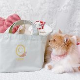 ペット写真で作る うちの子大人可愛いランチトートバッグ ｜ オーダーメイド ランチバッグ 犬 猫 名入れ ランチバッグ お誕生日 母の日 父の日 敬老の日 還暦祝い クリスマスプレゼント