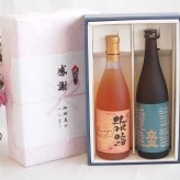 実りの秋の贈り物 感謝の贈り物ボックス プレミアムな日本酒立山と国産ワインセット(おたる醸造 旅路orange 白ワイン やや辛口(北海道)720ml立山特別本醸造(富山県)720ml
