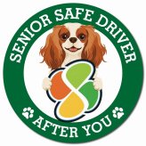 カーサイン 高齢者マーク SENIOR SAFE DRIVER キャバリアキングチャールズスパニエル マグネット 強力 直径13cm 肉球 日本製 車 ステッカー