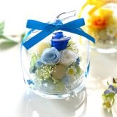  誕生日 プリザーブドフラワー ガラスドーム りんご 可愛い 女性 男性 結婚祝い 出産祝い 母の日 敬老の日 お供え お見舞い インテリア 送別  開店開業祝い ホワイトデー 記念日
