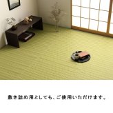 ラグ カーペット 洗える ダイニング 敷詰 丈夫 日本製 国産 除菌スプレー対応 アウトドア ペット 本間10畳（約477.5×382cm）