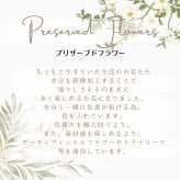 プリザーブドフラワーアレンジメント 【Delight lemon】 黄色と白の優しい色で華やかなプリザーブドフラワーのアレンジメント 御祝いやプレゼントにおススメ。プリザーブドフラワー 誕生日 花 プレゼント お礼 お祝い 本物 ギフト メッセージ ガラスドーム 送料無料 お礼 プリザーブド プレゼント おしゃれ リビング インテリア 枯れない花 土日発送 母の日 敬老の日 お中元 お歳暮