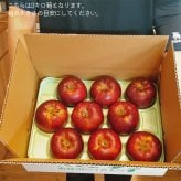 【予約】長野県産りんご 秋映 訳あり ご自宅用 果物 フルーツ お取り寄せ 産地直送 【送料無料(一部地域除く)】