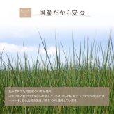 日本製 国産 消臭剤 い草 天然素材 デオグラス 帯白 約10×6.5cm丸