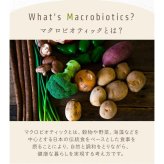 CHAYA SAKUSAKU ヴィーガンチョコラスク 10袋 スイーツ 植物性 ラスク 焼菓子 おやつ お菓子
