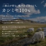 カシミヤ100％ ストール レディース ガーゼ 大判 手染め 手描き 柄 内モンゴル産 二狼山 200番手 柔らかい 手触り ブランド Filomo フィローモ カシミヤストール ガーゼストール 大判ストール ハンドペイント 薄手 ギフト プレゼント 7F (02000351r)