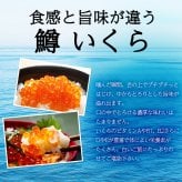 いくら 醤油漬け 500g 鱒子 アメリカ産 【ます子/イクラ/鱒いくら/いくら醤油漬】【お取り寄せ/グルメ/海鮮/ギフト/食べ物/贈答/プレゼント】