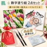 数字塗り絵 大人の塗り絵 ナンバーペイント数字入り 塗り絵 脳トレ 趣味 おうち時間 絵画キット アート 癒し プレゼント 誕生日 母の日 父の日 敬老の日 【無料ラッピング】【選べるデザイン】【送料無料】