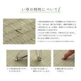夏ラグ 夏用カーペット ラグ 純国産 国産 日本製 い草 抗菌防臭 自然素材 モダン 『DXカラフルブロック』 約191×191cm