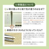 夏ラグ 夏用カーペット い草ラグ 12mmウレタン い草 ラグ 井草ラグ いぐさラグ 敷物 夏 夏用 夏用ラグ 大きい 大きめ イグサ ウレタン入り ふっくら 防音 裏張り付き 裏面不織布 折りたたみ おしゃれ ナチュラル アジアン グリーン ベージュ