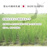 夏ラグ 夏用カーペット ラグ 純国産 国産 日本製 い草 抗菌防臭 自然素材 モダン 『DXカラフルブロック』 約191×250cm